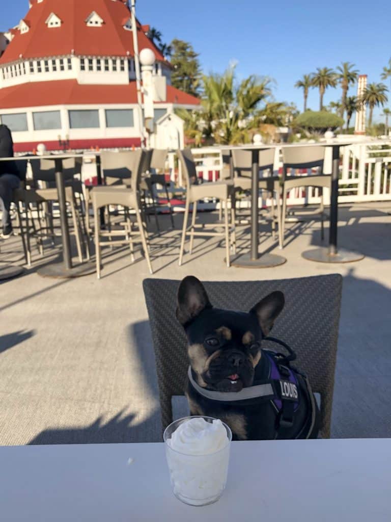 Is Hotel del Coronado Dog-Friendly? | Dog-Friendly Travel