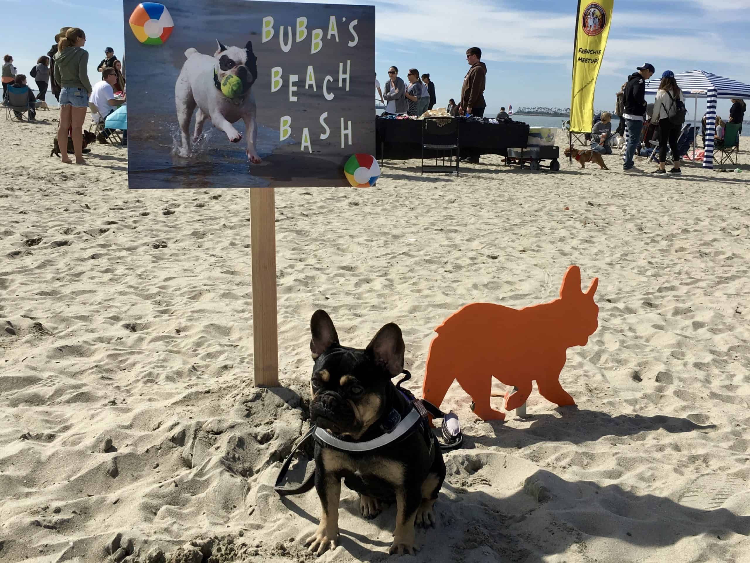 Dog Friendly Long Beach Ca Dog Friendly Travel