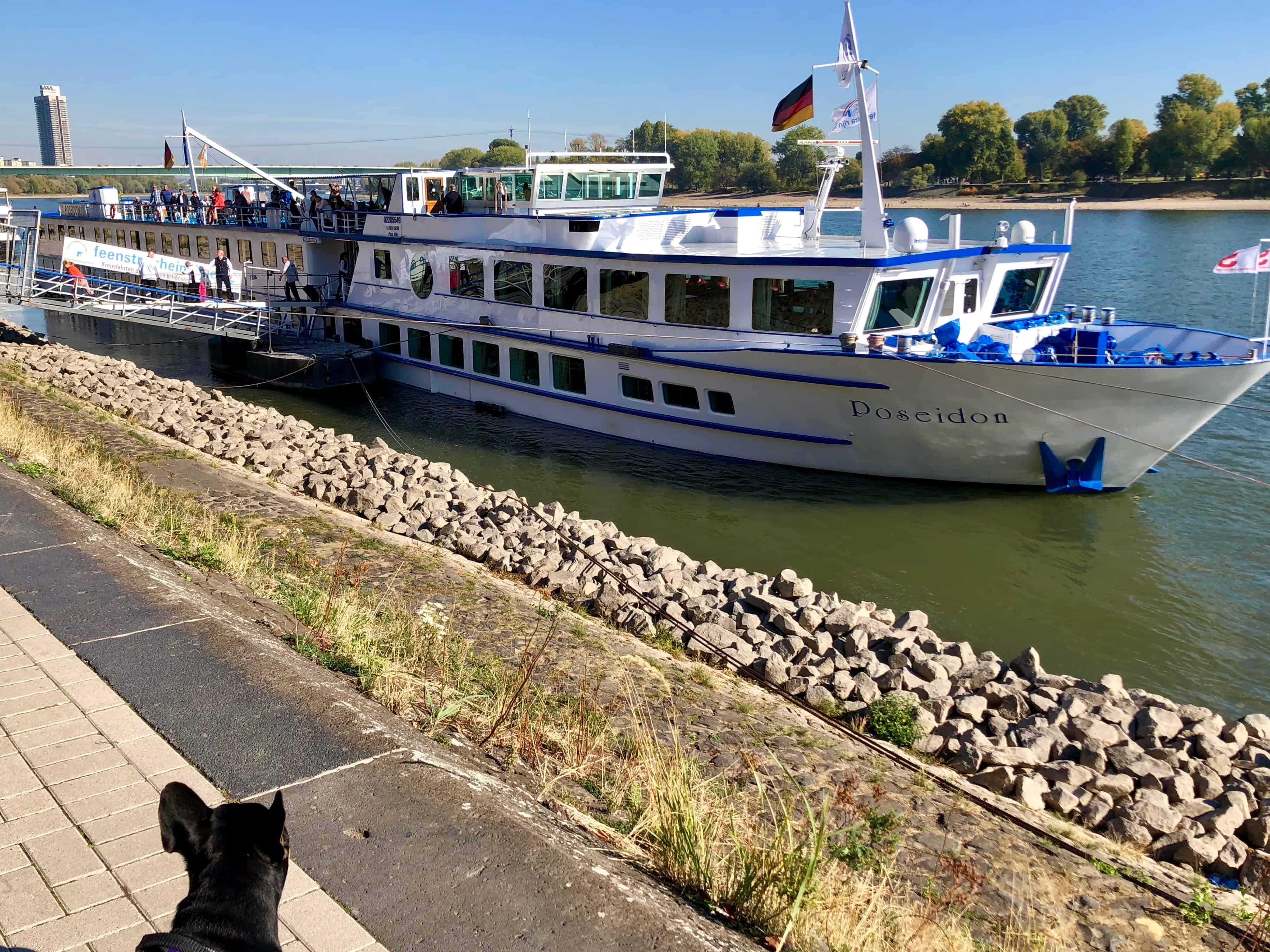 pet friendly cruises to europe