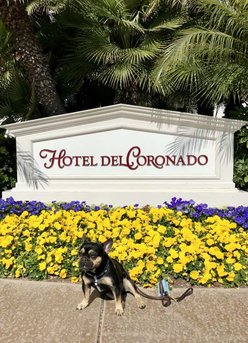 Is Hotel del Coronado Dog-Friendly? | Dog-Friendly Travel