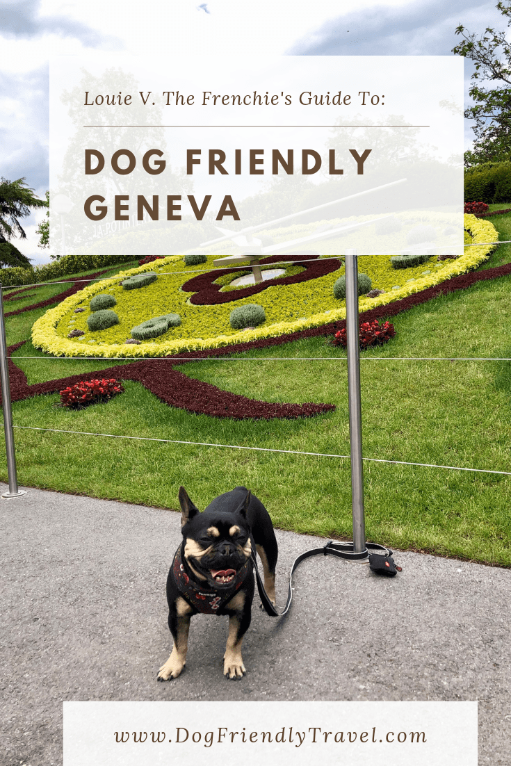 Dog Friendly Geneva, Switzerland : DOG FRIENDLY TRAVEL