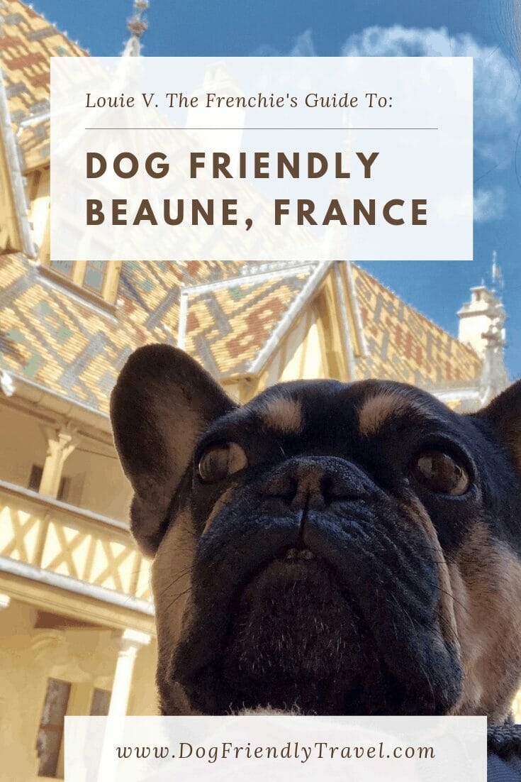 Dog Friendly Beaune, France : DOG FRIENDLY TRAVEL