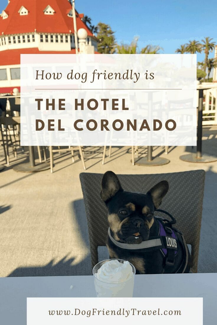 Is Hotel del Coronado Dog-Friendly? | Dog-Friendly Travel