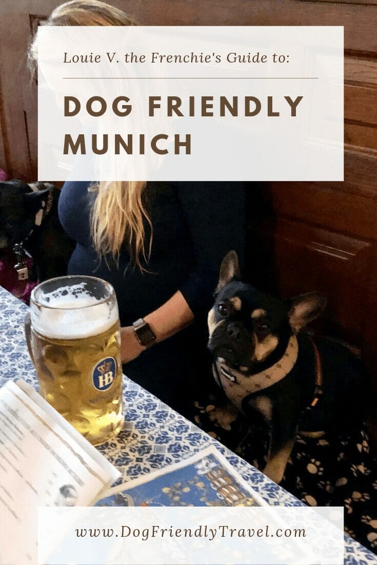 dog-friendly-munich-dog-friendly-travel-with-louie-v