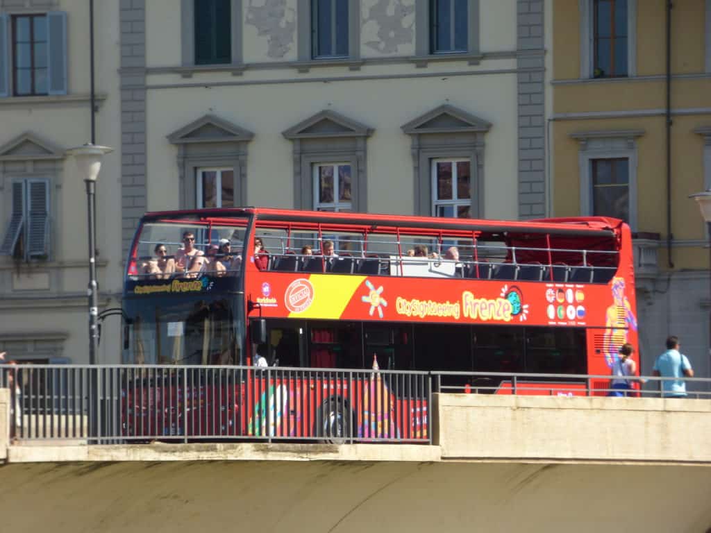 are dogs allowed on buses in italy