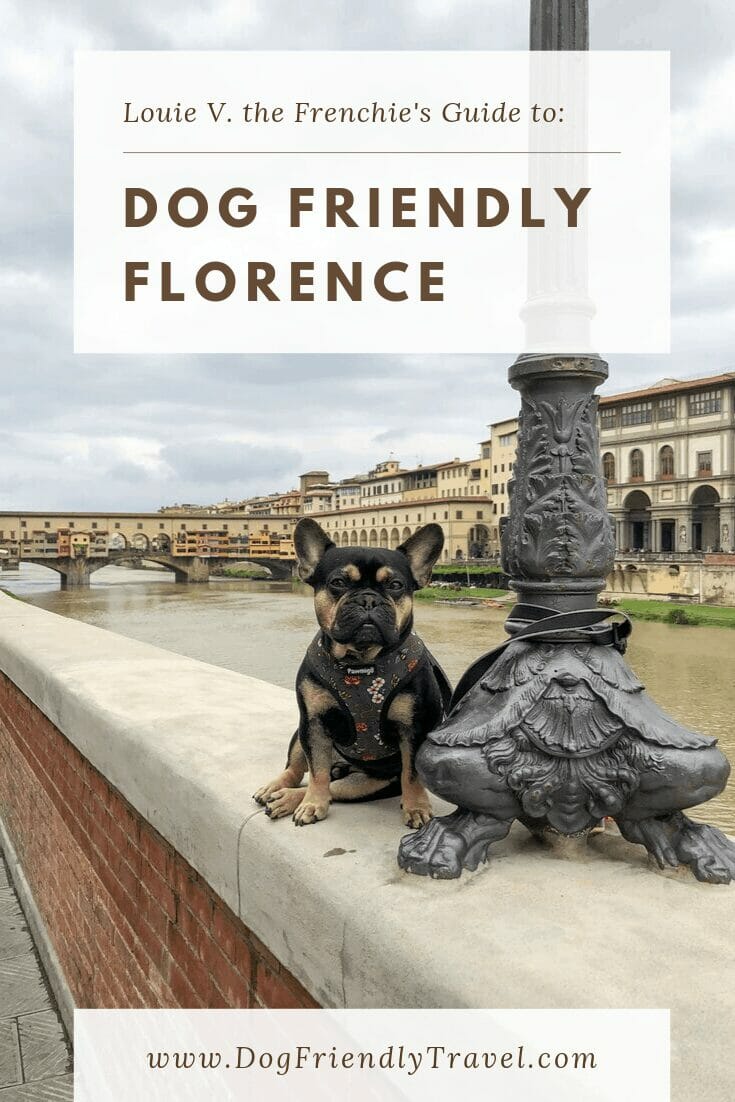 Dog Friendly Florence, Italy DOG FRIENDLY TRAVEL