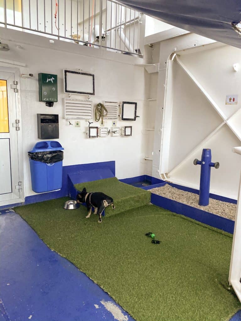 DFDS Dog Friendly Ferry Cabins DOG FRIENDLY TRAVEL