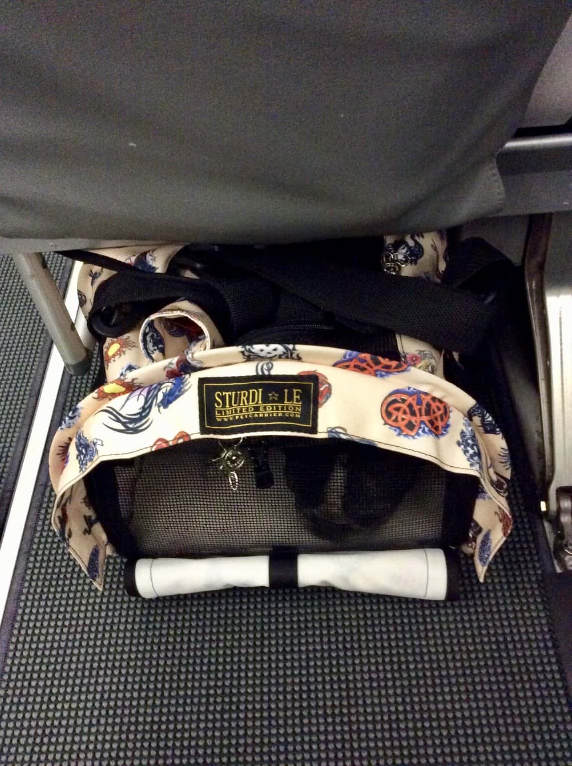 united in cabin pet weight limit