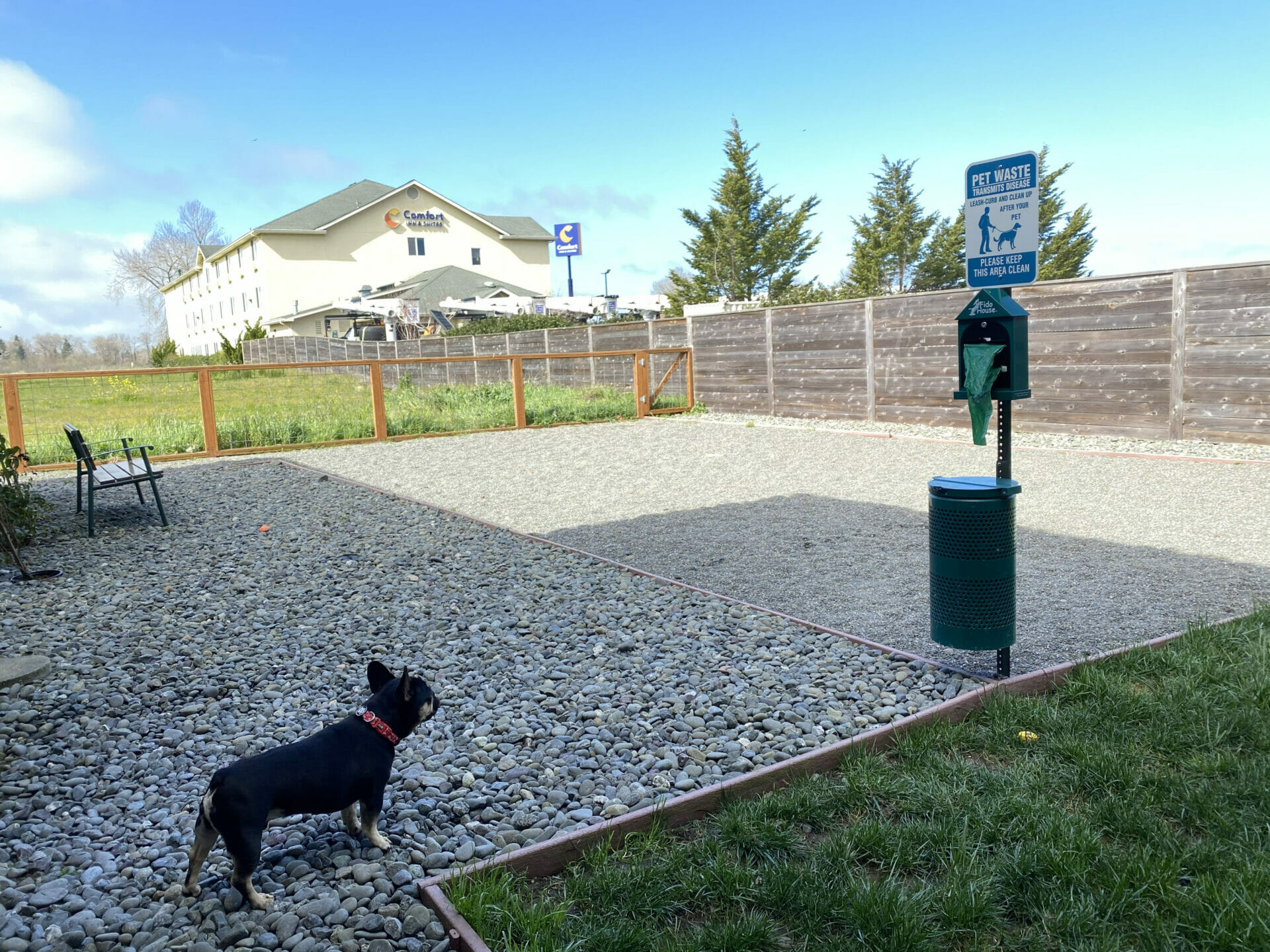 what gravel is best for a dog run